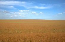 Путешествие по притокам и родникам реки Кундрючьей, по балкам Дубовой, Грушевской и Семимаячной