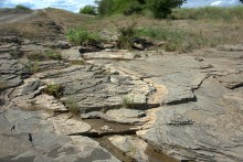 Путешествие по притокам и родникам реки Кундрючьей, по балкам Дубовой, Грушевской и Семимаячной
