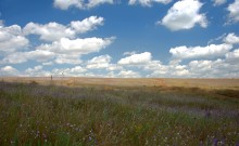 Путешествие по притокам и родникам реки Кундрючьей, по балкам Дубовой, Грушевской и Семимаячной