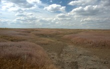 Путешествие по притокам и родникам реки Кундрючьей, по балкам Дубовой, Грушевской и Семимаячной
