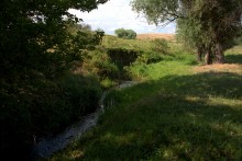 Путешествие по притокам и родникам реки Кундрючьей, по балкам Дубовой, Грушевской и Семимаячной