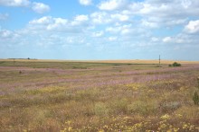 Путешествие по притокам и родникам реки Кундрючьей, по балкам Дубовой, Грушевской и Семимаячной