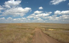 Путешествие по притокам и родникам реки Кундрючьей, по балкам Дубовой, Грушевской и Семимаячной