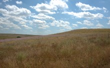 Путешествие по притокам и родникам реки Кундрючьей, по балкам Дубовой, Грушевской и Семимаячной