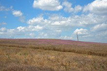 Путешествие по притокам и родникам реки Кундрючьей, по балкам Дубовой, Грушевской и Семимаячной