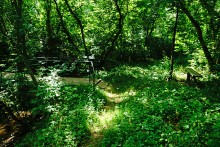 Путешествие по притокам и родникам реки Кундрючьей, по балкам Дубовой, Грушевской и Семимаячной