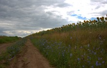 По левобережью Северского Донца