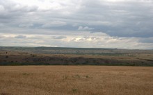 По левобережью Северского Донца