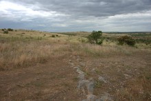 По левобережью Северского Донца