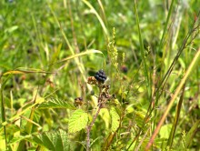 Поездка по донскому правобережью на месте бывшего Моноцкого городка