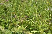 Поездка по донскому правобережью на месте бывшего Моноцкого городка