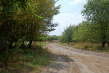 Памятник в хуторе Калиновка расстрелянному махновцами отряду красных