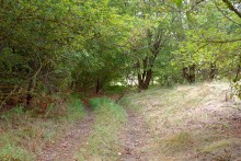 Памятник в хуторе Калиновка расстрелянному махновцами отряду красных