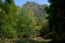 Памятник в хуторе Калиновка расстрелянному махновцами отряду красных