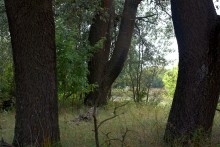 Памятник в хуторе Калиновка расстрелянному махновцами отряду красных