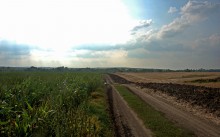 Августовское купание в реке Калитве