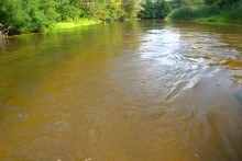 Августовское купание в реке Калитве