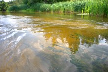 Августовское купание в реке Калитве