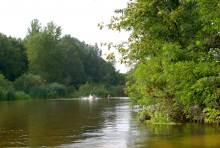 Августовское купание в реке Калитве