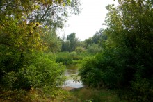 Августовское купание в реке Калитве