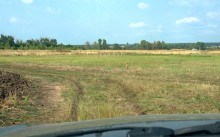 Храбрые сурки-байбаки на реке Калитве