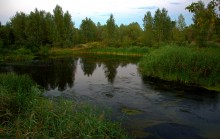 Август на Калитве