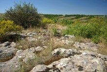 Выходы кварцита под названием Большой камень у хутора Нижнеерохин