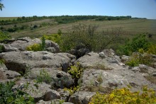 Выходы кварцита под названием Большой камень у хутора Нижнеерохин