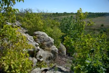 Выходы кварцита под названием Большой камень у хутора Нижнеерохин