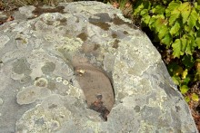 Выходы кварцита под названием Большой камень у хутора Нижнеерохин