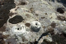 Выходы кварцита под названием Большой камень у хутора Нижнеерохин