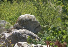 Выходы кварцита под названием Большой камень у хутора Нижнеерохин