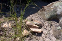 Выходы кварцита под названием Большой камень у хутора Нижнеерохин