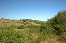 Выходы кварцита под названием Большой камень у хутора Нижнеерохин