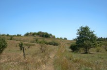 Выходы кварцита под названием Большой камень у хутора Нижнеерохин