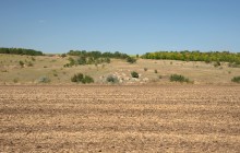 Выходы кварцита под названием Большой камень у хутора Нижнеерохин