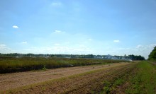 Пожар в степи принёс беду полевым мышам и радость хищным птицам