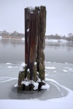 Старый швартовый столб у причала в Старочеркасской