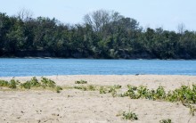 Донские пляжи в августе у станицы Мелиховской