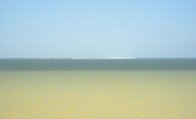 Глафировская коса и её обитатели в начале сентября