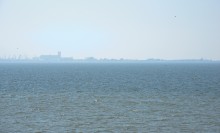 Глафировская коса и её обитатели в начале сентября