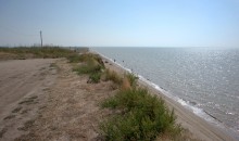 Глафировская коса и её обитатели в начале сентября