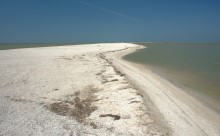 Глафировская коса и её обитатели в начале сентября