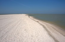 Глафировская коса и её обитатели в начале сентября