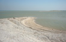 Глафировская коса и её обитатели в начале сентября