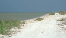 Глафировская коса и её обитатели в начале сентября