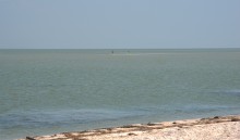 Глафировская коса и её обитатели в начале сентября