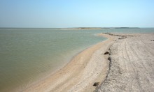 Глафировская коса и её обитатели в начале сентября