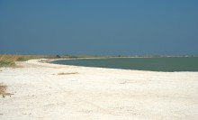 Глафировская коса и её обитатели в начале сентября