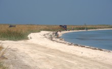 Глафировская коса и её обитатели в начале сентября